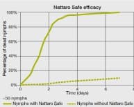 NATTARO SAFE 12M 3
